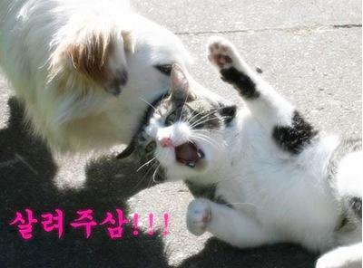 아 이미지