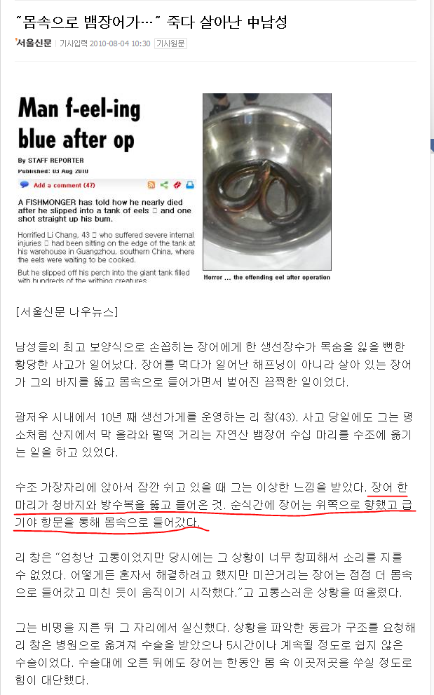 장어왕 이미지
