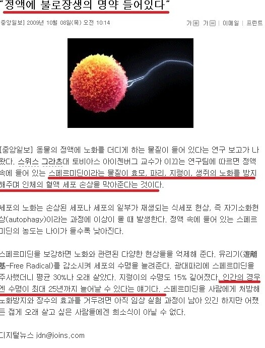 불로 이미지