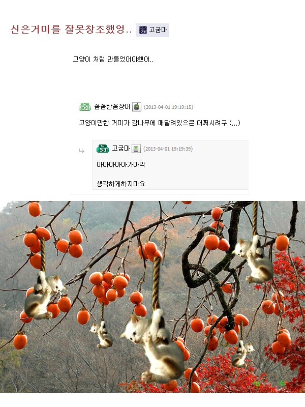 고굼 이미지
