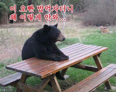 파랑 이미지