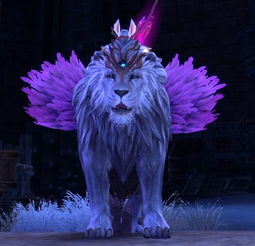 테라(TERA) 인벤 : 오늘 날개달린 백사자봤어요!! - 테라 인벤 사제 게시판 테라(TERA) 인벤 : 오늘 날개달린 백사자봤어요!!