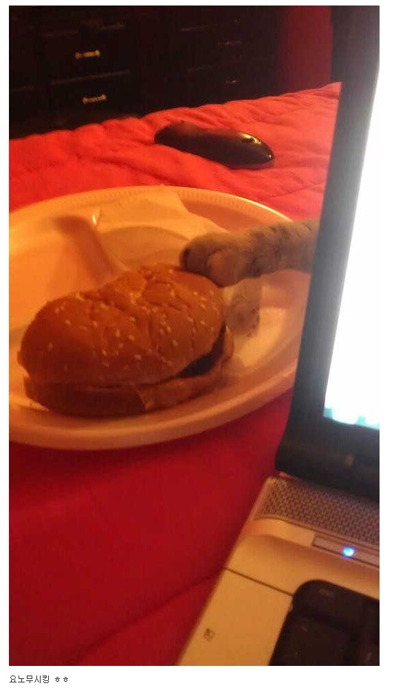 스르르르 이미지