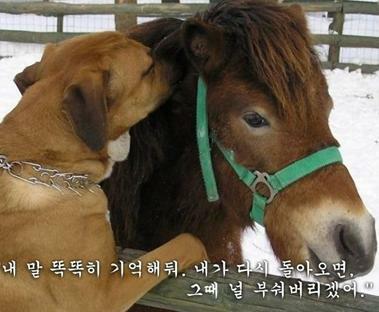 파랑 이미지