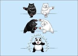 흑곰이다 이미지