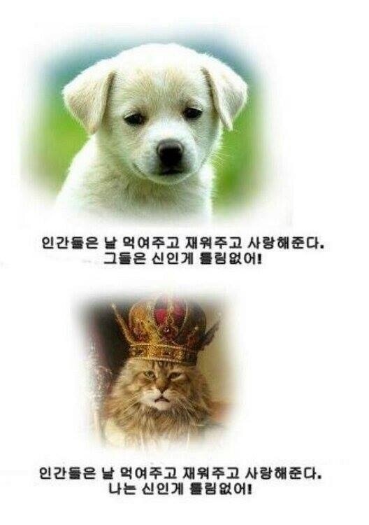 그러하다 이미지
