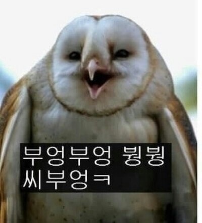 8시 이미지