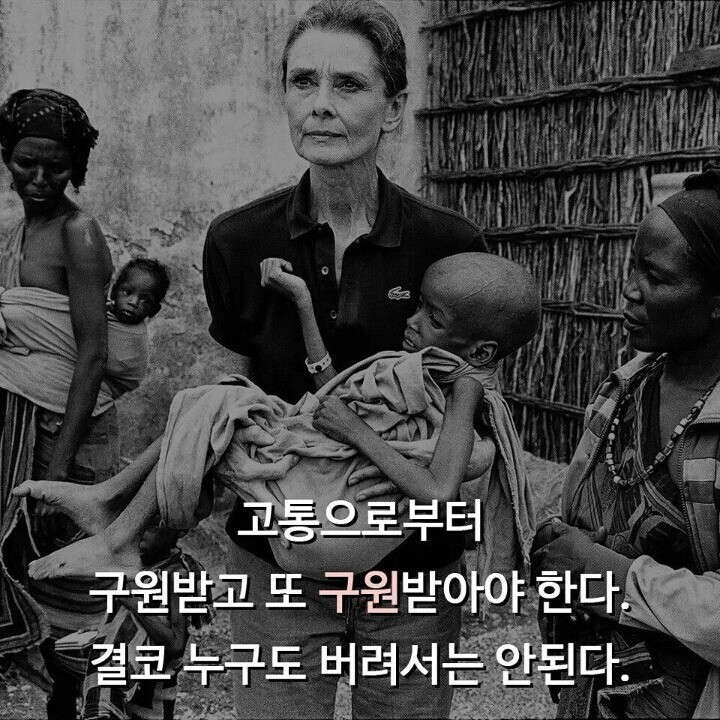 원본 크기로 보시려면 그림을 클릭하세요.