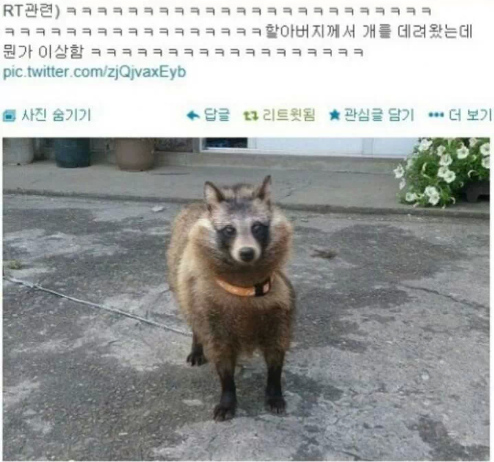 원본 크기로 보시려면 그림을 클릭하세요.