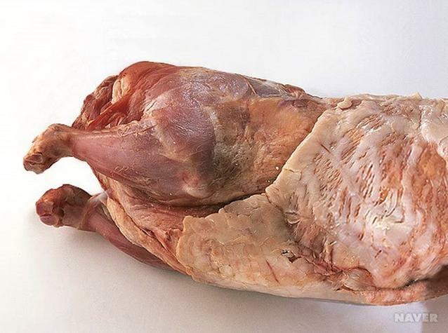 꽃순이네 이미지