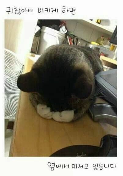 응 이미지