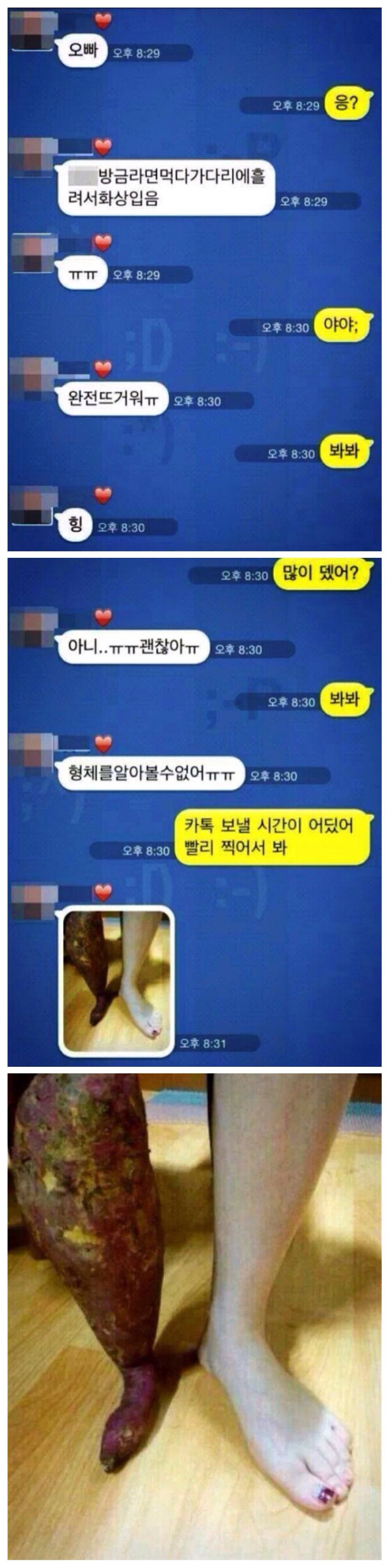 원본 크기로 보시려면 그림을 클릭하세요.