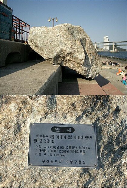 꽃순이네 이미지