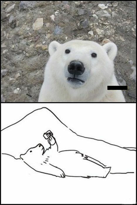 곰 이미지