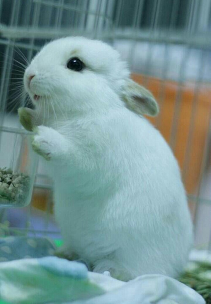 탑클린 이미지