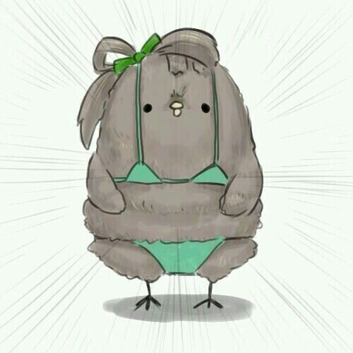 엘피엘피 이미지