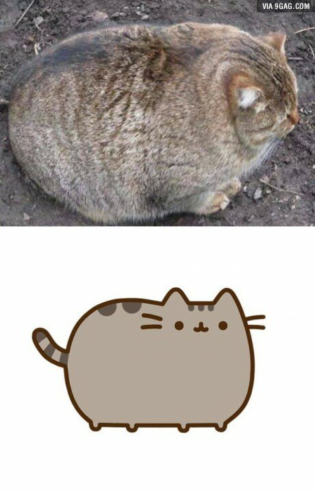 토실토실 이미지