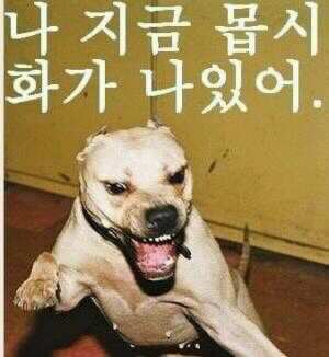 참 이미지