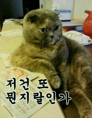 백야기업 이미지
