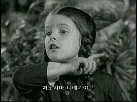 한*한 이미지