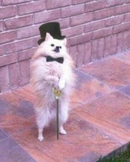 다 이미지