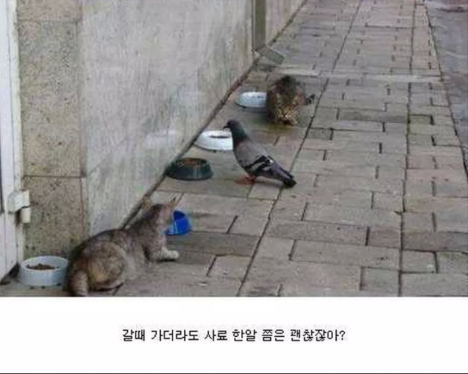 원본 크기로 보시려면 그림을 클릭하세요.