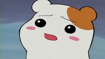 후픽 이미지
