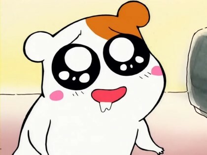 꽃해랑 이미지