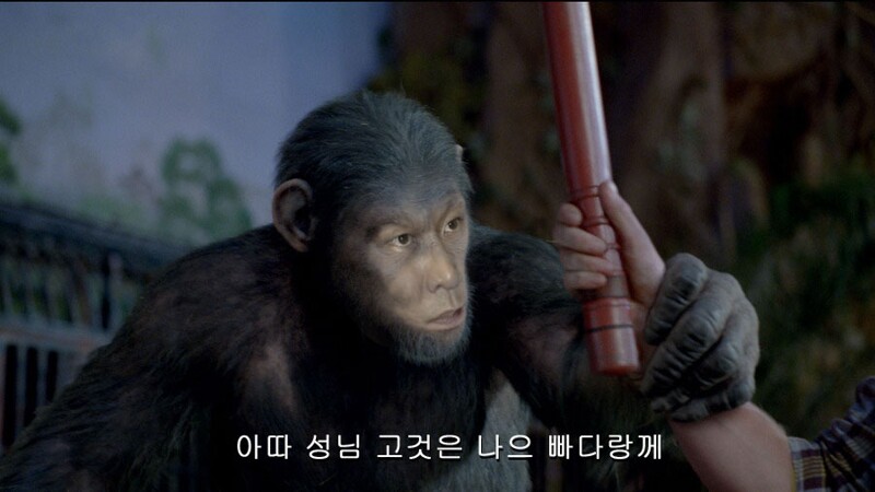 호성 이미지
