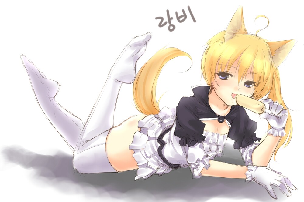 원본 크기로 보시려면 그림을 클릭하세요.