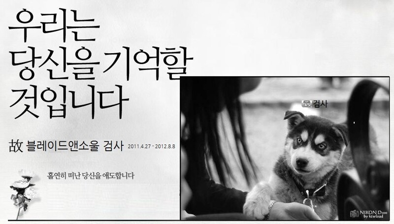 원본 크기로 보시려면 그림을 클릭하세요.