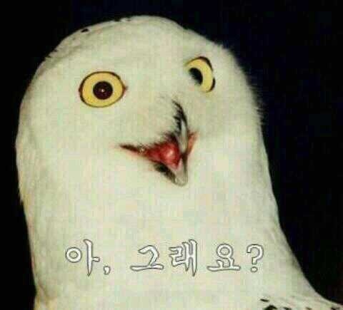 첨부파일1