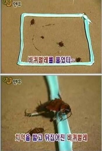 첨부파일1