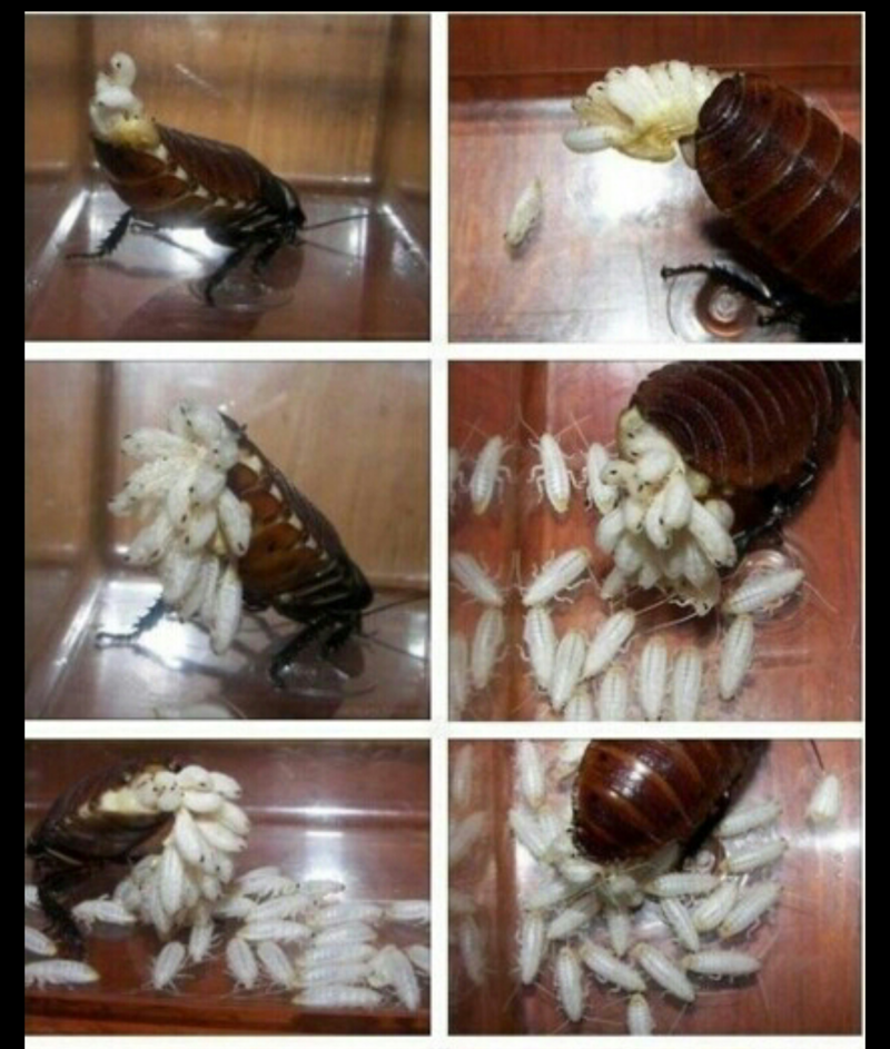 첨부파일1