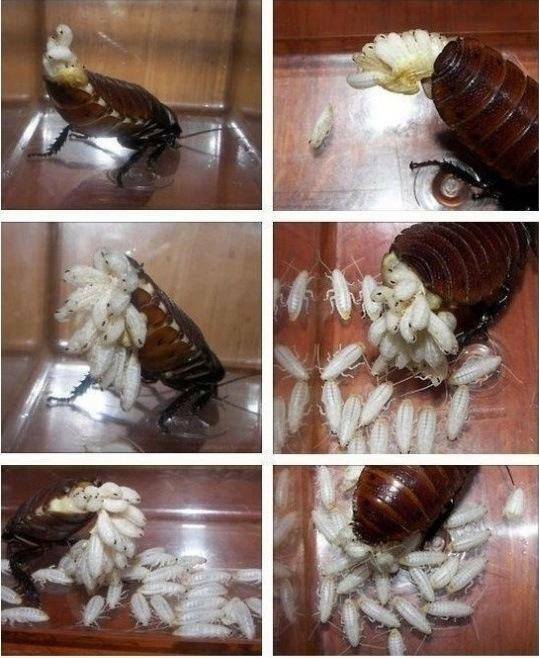 첨부파일1