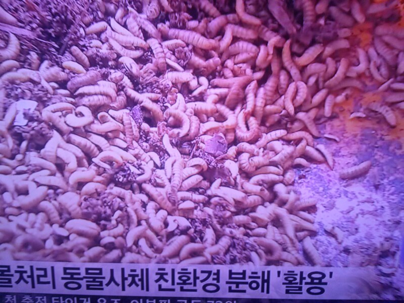 첨부파일1