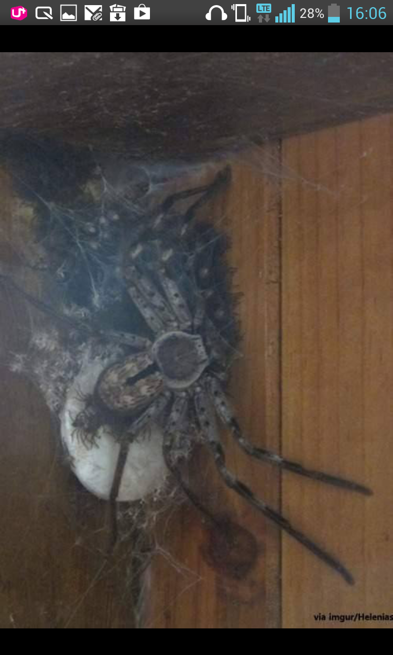 첨부파일1