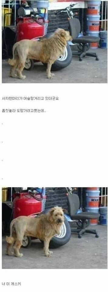 첨부파일1