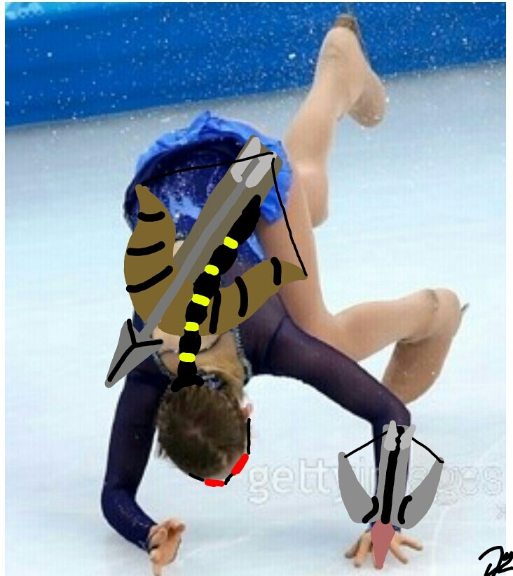 첨부파일1