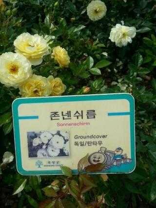 첨부파일1