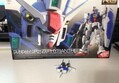 RG GP01 건담시작1호기 제피랜더스