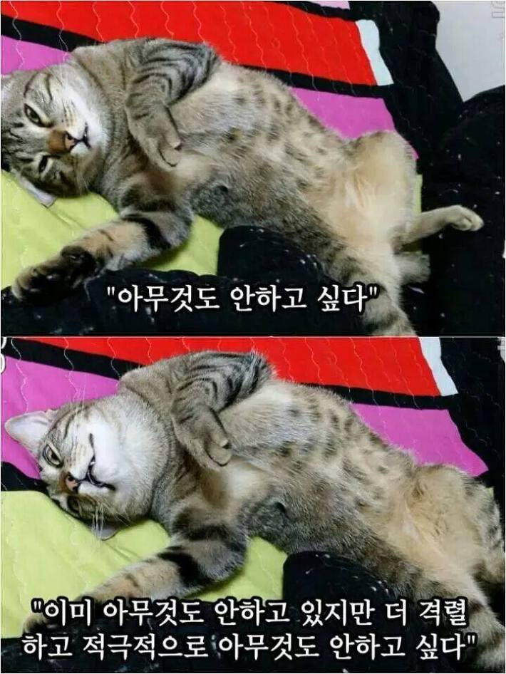더블클릭PC방 이미지