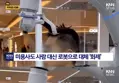 중국 무인 이발기