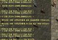 갤러리 프리뷰 이미지