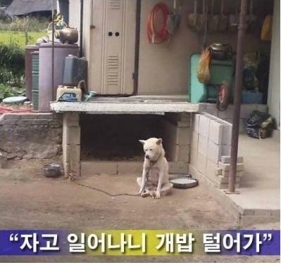 첨부파일1