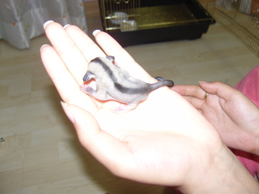 첨부파일1