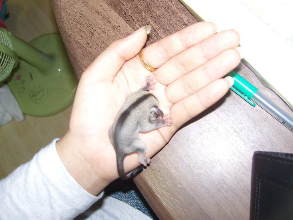 첨부파일2