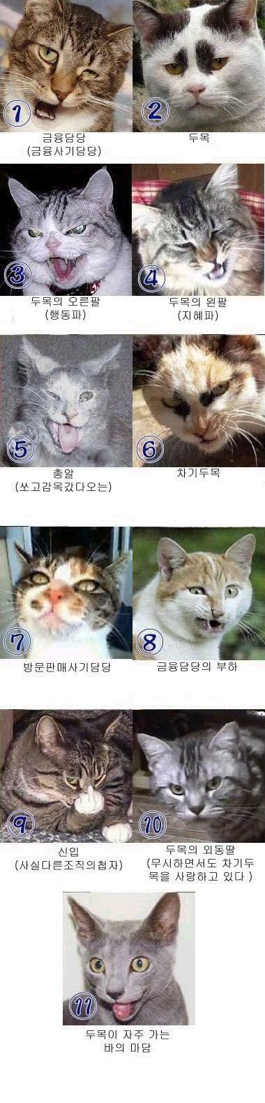 첨부파일1